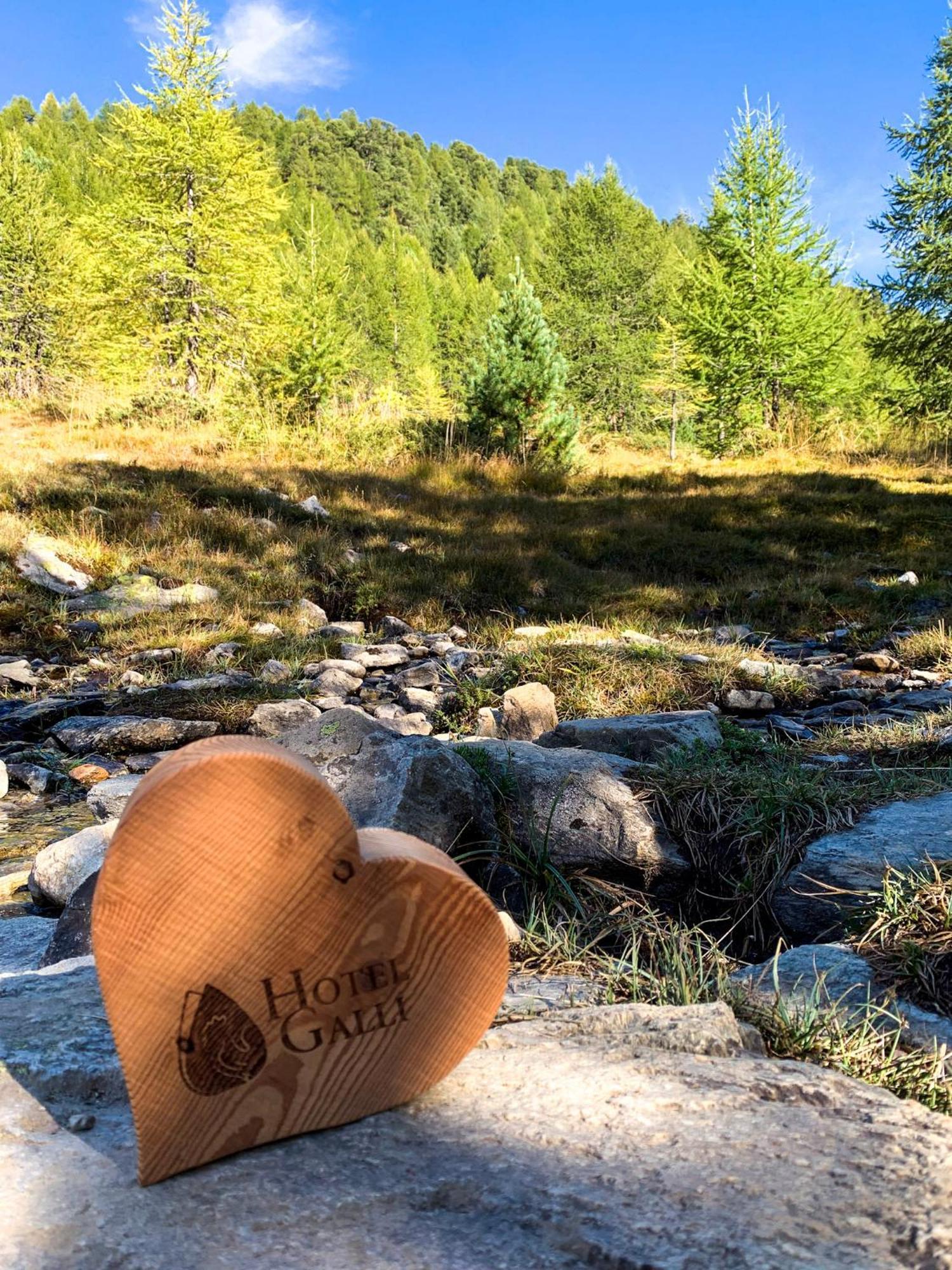 Hotel Galli Livigno Dış mekan fotoğraf
